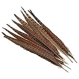 wanjin 10PCS Natural Pheasant Feathers Pheasant Tails 14-16 inch(35-40CM),Natural