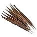 wanjin 10PCS Natural Pheasant Feathers Pheasant Tails 14-16 inch(35-40CM),Natural