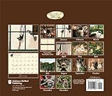 Image de Cats We Love 2015 Deluxe Wall Calendar