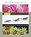 Volume 5 - Animal Structure & Function (Biology: the Unity & Diversity of Life)