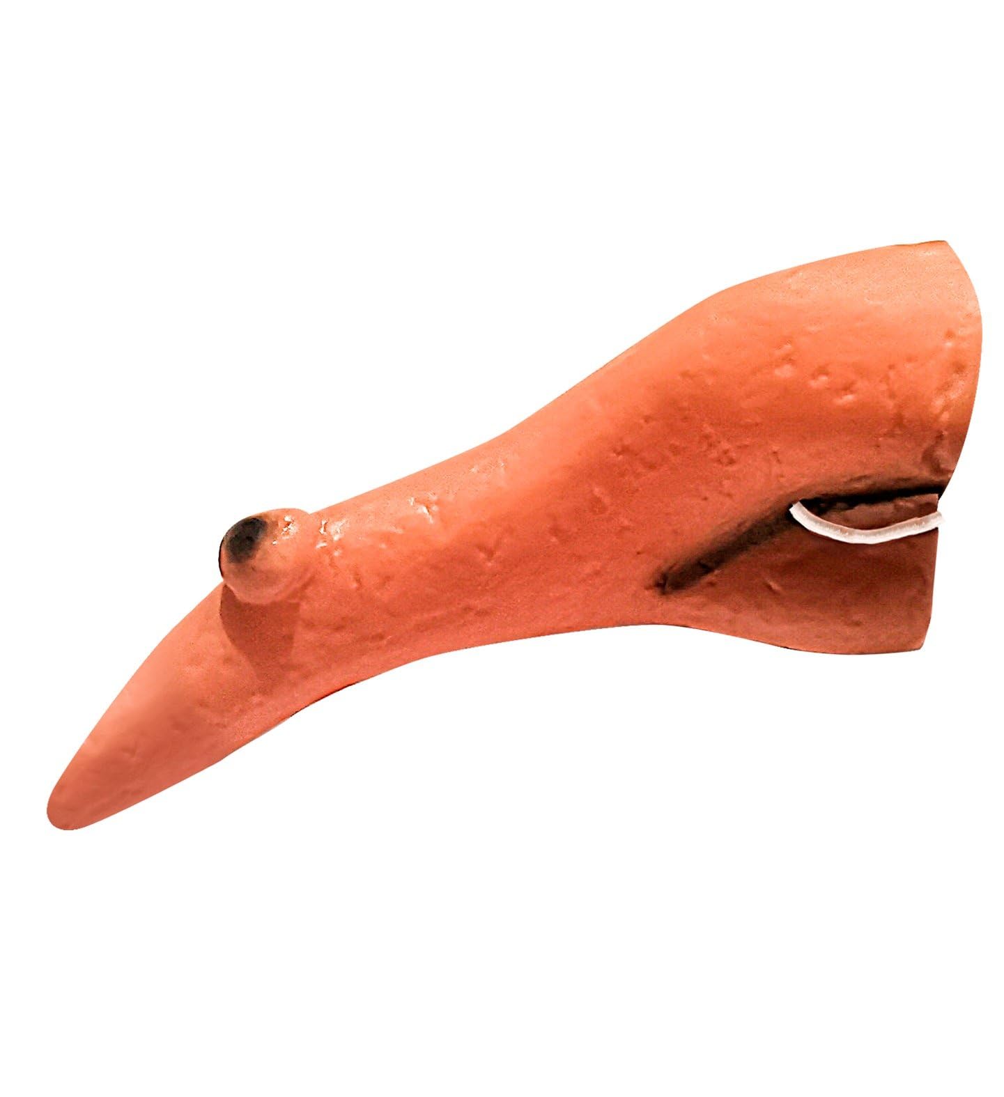 Ladies Witch Nose Accessory for Halloween Fancy Dress