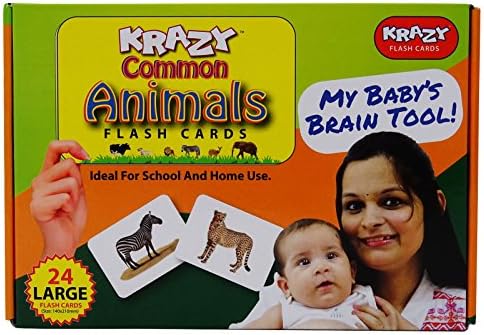 Educational Learning Game Common Animals Flash Cards For Toddlers