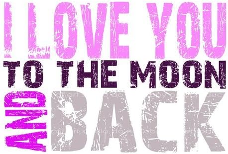 Home Decor Pillowcases I Love You To The Moon and Back Quote 20X30 Inch Two Sides Zippered Soft Cotton Pillow Covers