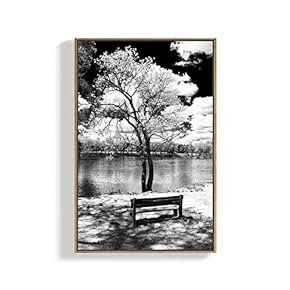 Canvas Wall Art for Living Room, Bedroom Tree Framed Canvas Prints for Home Decoration Ready to Hang - 16x24 inches