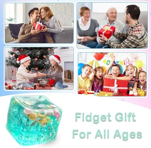 SLEEPHEAD®Ice Cube Fidget Toys - Sensory Toys with Real Sea Shells