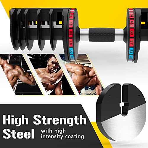 Merax Deluxe 580 LBS Adjustable Dumbbell for Home Gym, Adjustable Weights Dial Dumbbell with