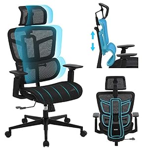 SAMOFU Office Chair, Ergonomic Desk Chair with Adjustable & Inclinable Backrest