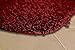 Garland Rug 2-Piece Jazz Shaggy Washable Nylon Bathroom Rug Set, Chili Pepper Red