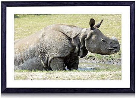 80cmx60cm 木製の黒色のフォトフレーム 草水たまり泥風呂サイ 壁掛け 壁飾り 壁ポスター おしゃれ ウォールアート アートパネル 壁の絵 インテリア絵画 額縁 部屋飾り 装飾画