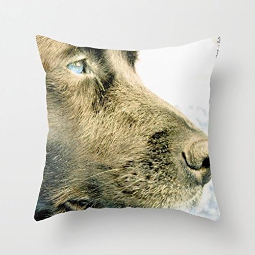 Pillow Shams Of Dogs 20 X 20 Inches / 50 By 50 Cm Best Fit For Seat Floor Divan Bedding Deck Chair Dance Room Double Sides