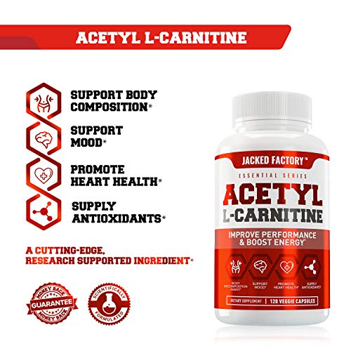 5 Acetyl+Carnitine+ALCAR+Supplement+L+Carnitine