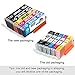 Kingway PGI-250 CLI-251 PGI-250XL CLI-251XL Compatible Canon 250 251 Ink Cartridge for Canon PIXMA MX922 MG5520 MG5420 MG6620 MG5620 IP7220 IX6820 MG6420 Printer (2 Set+2BK)