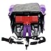 KidsEmbrace 2-in-1 Harness Booster Car Seat, Nickelodeon Dora the Explorer