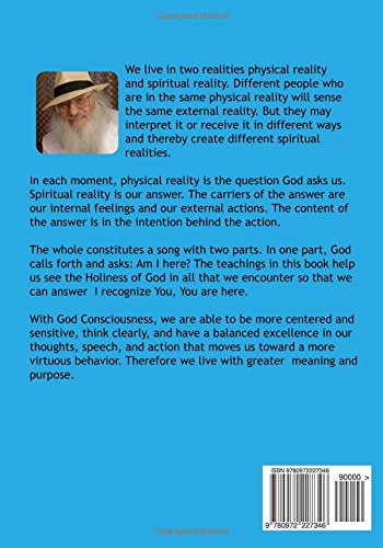 God Consciousness Living With Meaning And Purpose Haralick Robert M 9780972227346 Amazon Com Books