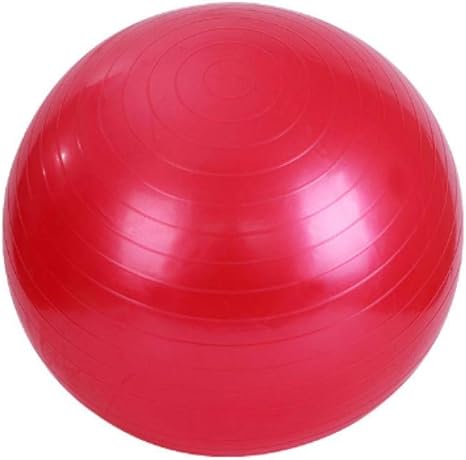 Ssery Pelota de Ejercicios, Pelota Suiza (Colores múltiples ...