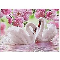 NIKOLay Elegant Swan Artificial Diamond Painting Couple Animal Fruit Pattern Crystal Rhinestone Paintings,Type 1