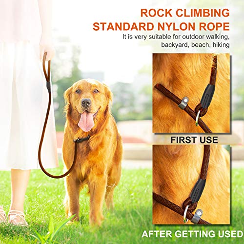 really long dog leash