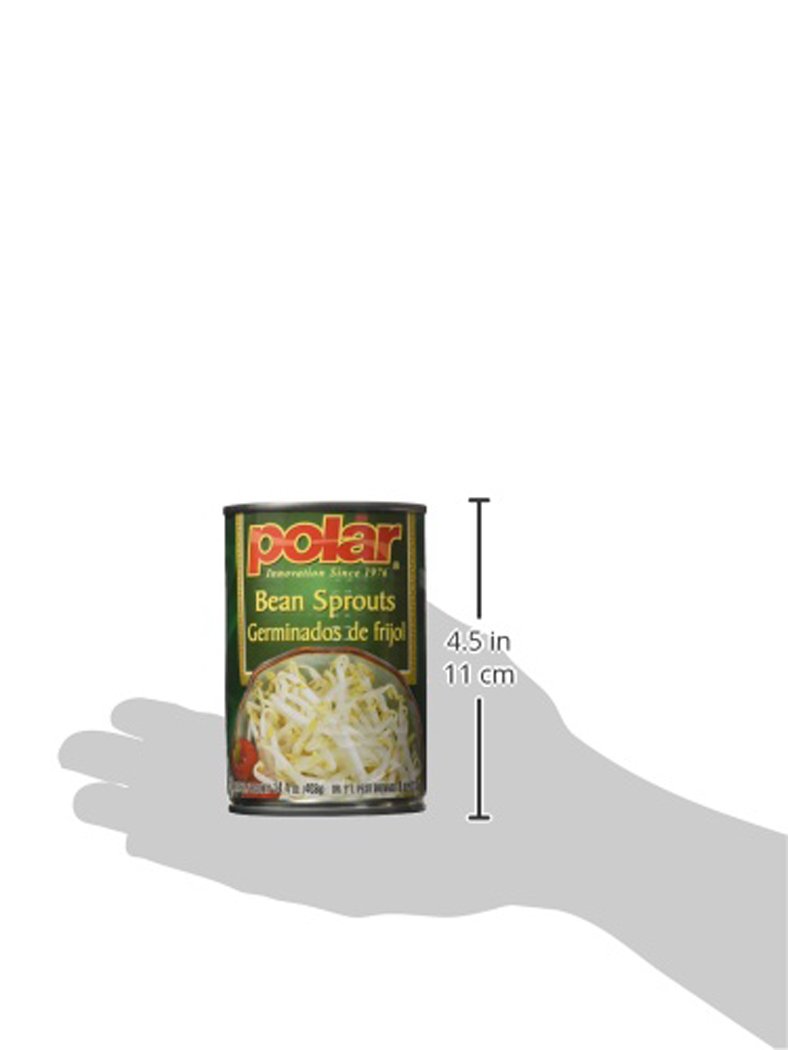 MW Polar Canned Vegetables, Bean Sprouts, 14.4-Ounce (Pack of 12) : Beans Produce : Grocery & Gourmet Food