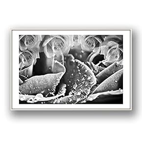 Framed Canvas Wall Art for Living Room, Bedroom Grey Rose Flowers Canvas Prints for Modern Home Decoration Ready to Hang - 16"x24" inches