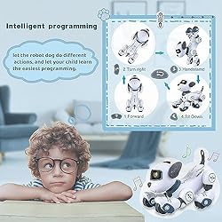 Robot Dog Toys for Kids Age 3-9, Programmable