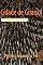 Livro CIDADE DE GIRASSOL