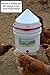 RentACoop Chicken Waterer - Horizontal Nipple Setup (3.5 gallon) (Red)