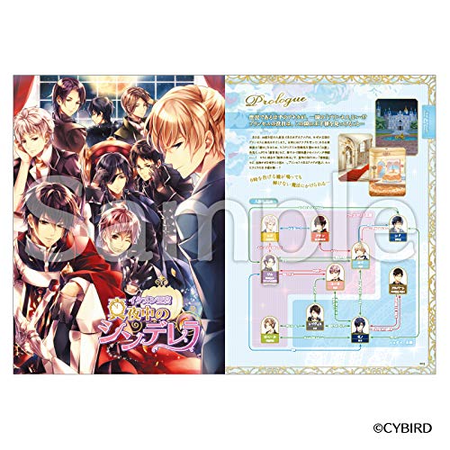 イケメン王宮 真夜中のシンデレラ 100日間のプリンセス もうひとつのイケメン王宮 公式ビジュアルファンブック イケメンシリーズ サイバード Iriasu 本 通販 Amazon