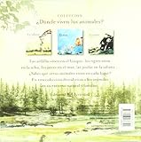Image de El Bosque / The Forest (Coleccion Donde Viven los Animales?) (Spanish Edition)
