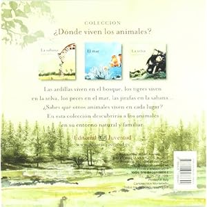 El Bosque / The Forest (Coleccion Donde Viven los Animales?) (Spanish Edition)
