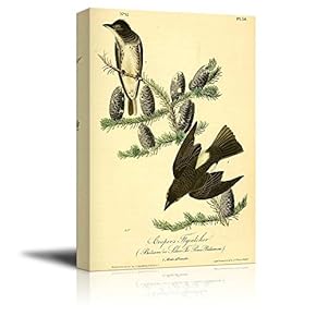 Beautiful Illustration of a Cooper