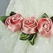 Fitwarm Luxury Rose Lace Pet Dog Weddding Dress Bride Clothes Formal Apparel, Large