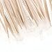 Royal Plain Individual Cello Wrapped Toothpicks, Package of 1000