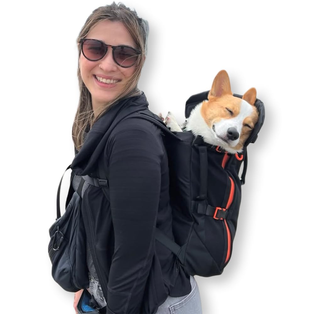 Photo 1 of Maxine One Dog Backpack Carrier for Medium Dogs by Little Chonk | Adjustable & Ergonomic Front Facing Dog Carrier Backpack | Bult to be Safer | Pet Backpack Carrier, Featured in Wired Magazine - Black