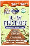 Garden of Life RAW Organic Protein Van. Spiced Chai Packets (15 Pkts)