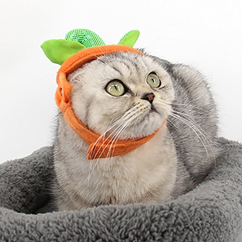 Legendog Cat Apparel Pumpkin Design Funny Pet Clothing Cat Halloween Costume with Pumpkin Headwear - Thumbnail 2