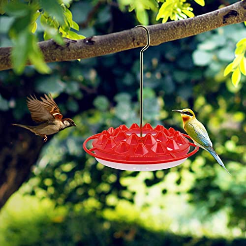 Mary's Sweety Hummingbird Feeder Multiple Feeding Ports, Bird Feeder