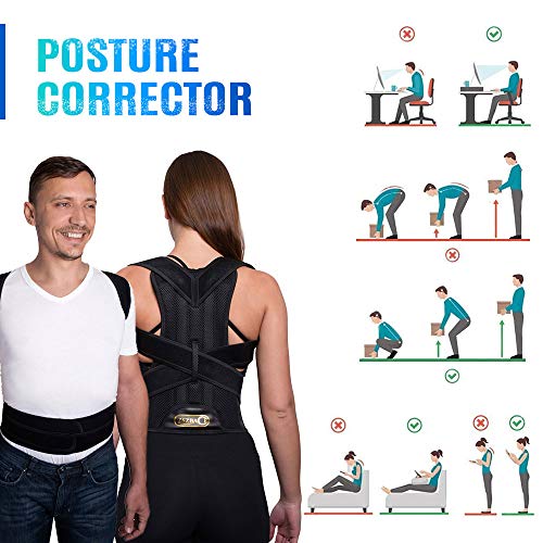 xxl back support belt