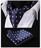 HISDERN Men's Ascot Polka Dot Jacquard Woven Gift Cravat Tie and Pocket Square Set
