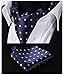 HISDERN Men's Ascot Polka Dot Jacquard Woven Gift Cravat Tie and Pocket Square Set
