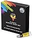 Acrylic Paint Set 24 Colors- Bonus 10 Acrylic Paint Brushes Included - Acrylic Paints for Artists - Heavy Body Acrylic Paint - Artist Quality Acrylic Paint - Canvas Paint with Acrylic Paint Brush Set