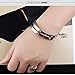 JAJAFOOK Silver/18K Rose Gold Plated Bangle Bracelet, Stainless Steel with Crystal, Screwdriver Opening Love Bracelets for Women and Men