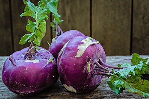 Kohlrabi Delikates Blauer - seeds