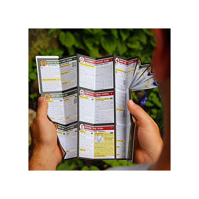 Tiny Survival Guide A Life Insurance Policy in Your