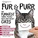 Fur & Purr: The Funniest Things People Have Said about CATS by Craig and Erich Pearson