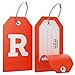 Initial Luggage Tag with Full Privacy Cover and Stainless Steel Loop – (Letter R)