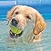 Hyper Pet Fetching Dog Toys - Throwing Ball Dog Toy Made with EVA Foam - Lightweight & Floats on Water,Green