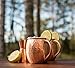 Naava Moscow Mule Mugs - Authentic Russian Moscow Mule Gift Set of 2 Beautiful Artisan Hammered Copper Mugs PLUS Liquor Jigger - Unlined, Unlacquered and Genuine - 100% Solid Copper Guaranteed!