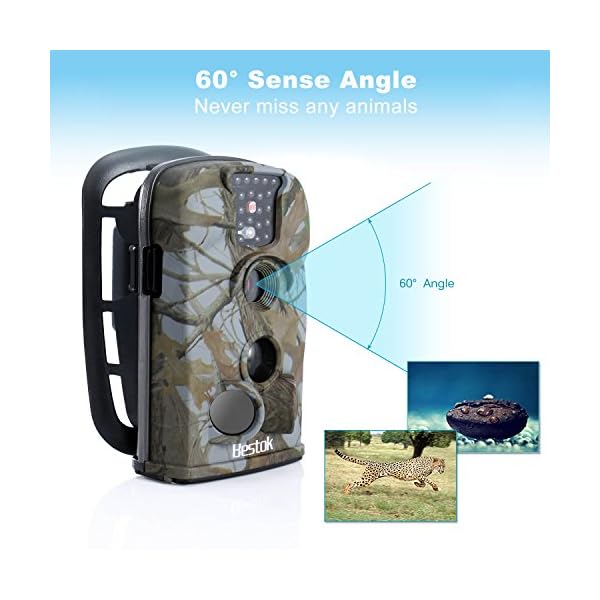 Bestok Wildkamera Fotofalle Full HD 12MP Jagdkamera Wasserdichte Gartenkamera mit Bewegungsmelder Vision Infrarote 20m… – Bild 4