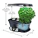 AeroGarden Extra (LED) with Gourmet Herb Seed Pod Kit
