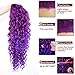 Ebingoo 26 Inch Fashion Purple Mixed Lace Front Wigs for Women +Wig Cap Long Curly Wavy Synthetic Lace Free Party Wigs Heat Resistant Fiber Wig for Daily Wear